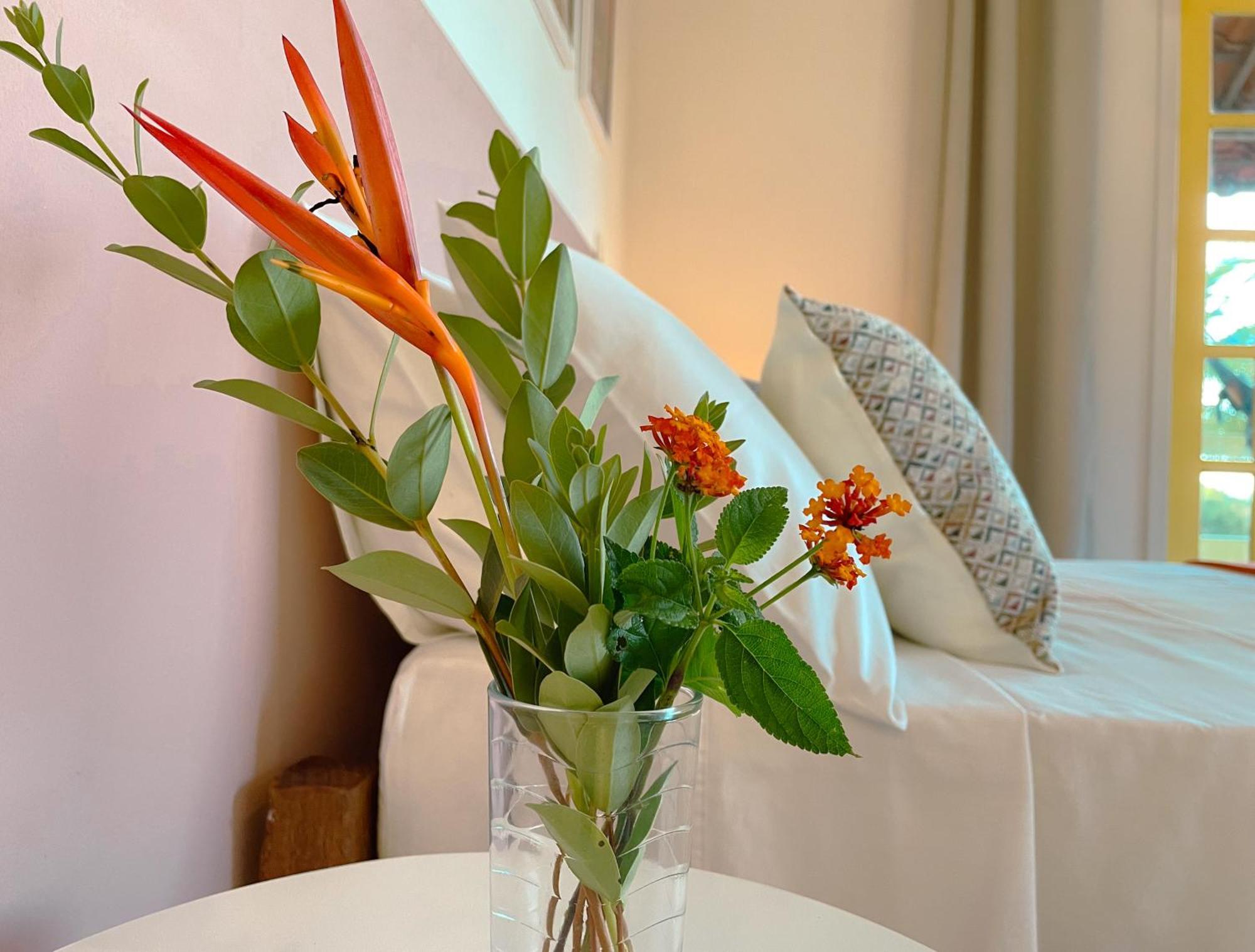 Canto Do Mar - Apartamentos E Casa Com Vista Pro Mar - Cumuruxatiba Ngoại thất bức ảnh